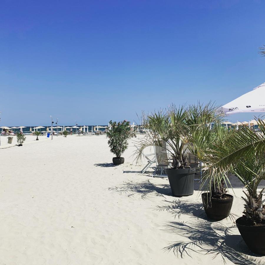 Vela Luxury Sea View Apartments - Marina Surf Năvodari Exteriör bild